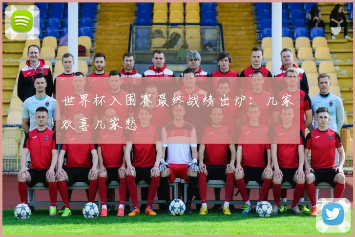 世界杯入围赛最终战绩出炉:几家欢喜几家愁