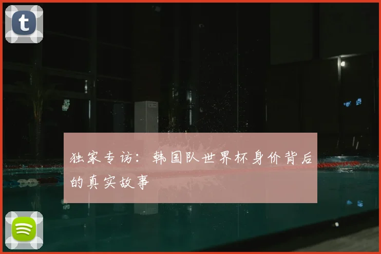独家专访：韩国队世界杯身价背后的真实故事