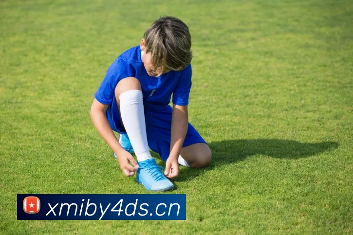 App Interface Preview