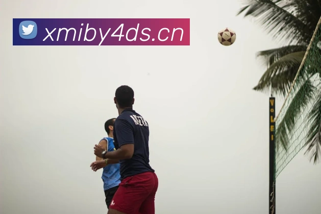 乐鱼注册入口APP 封面图